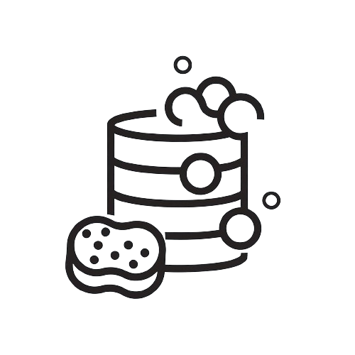 Clean Data Icon